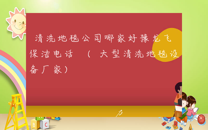 清洗地毯公司哪家好豫龙飞保洁电话 (大型清洗地毯设备厂家)